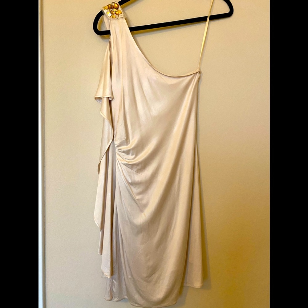 BCBG MaxAzria dress 👗